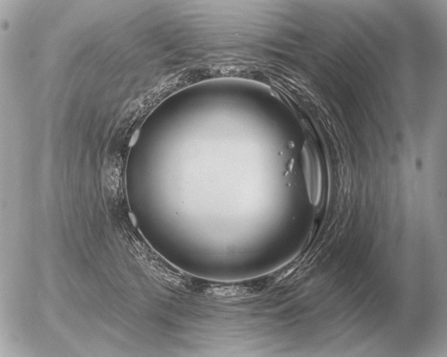 X0000056370417200508261408