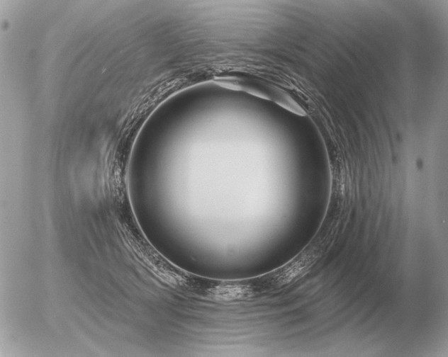 X0000056370418200508261408