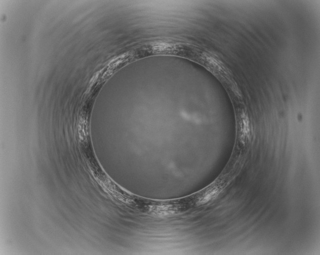 X0000056370419200508261408