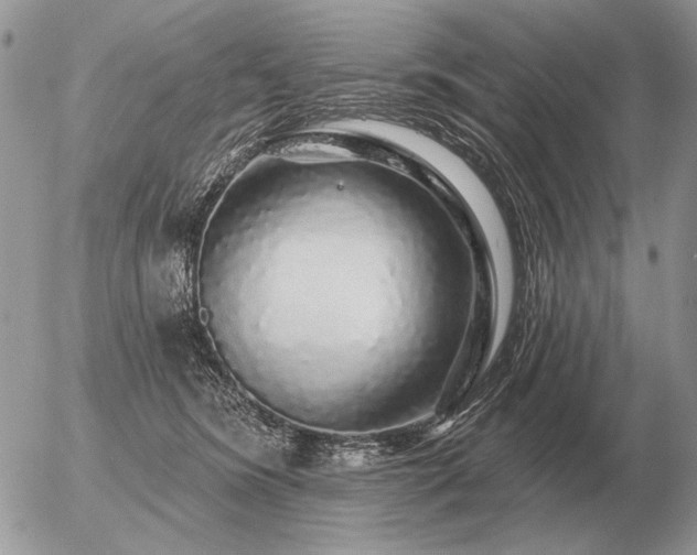 X0000056370420200508261408