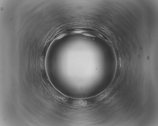 X0000056370421200508261408