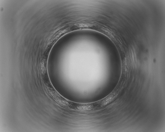 X0000056370422200508261408