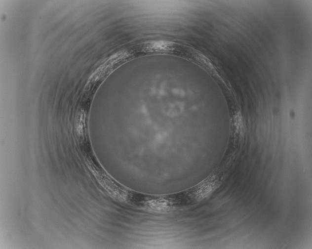 X0000056370423200508261408