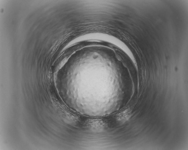 X0000056370424200508261408