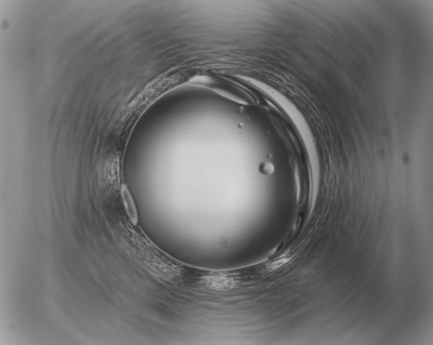 X0000056370425200508261408