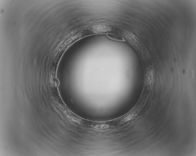 X0000056370426200508261408