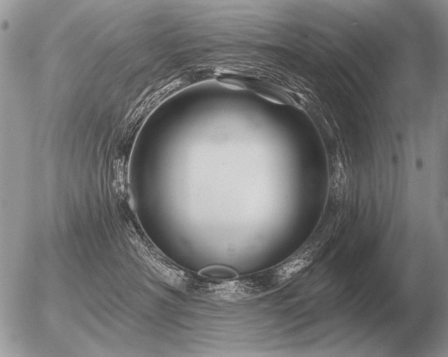 X0000056370430200508261408