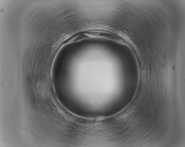 X0000056370433200508261407