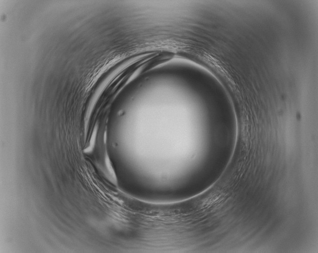 X0000056370434200508261407