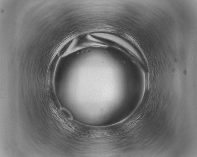 X0000056370435200508261407