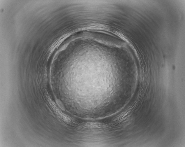 X0000056370437200508261407