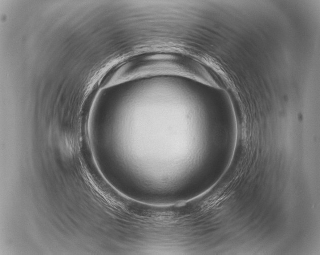 X0000056370438200508261407