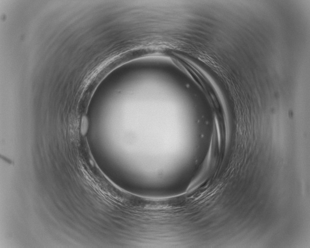 X0000056370440200508261407