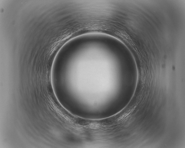 X0000056370441200508261407