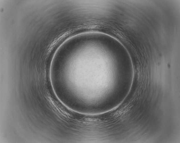 X0000056370442200508261407