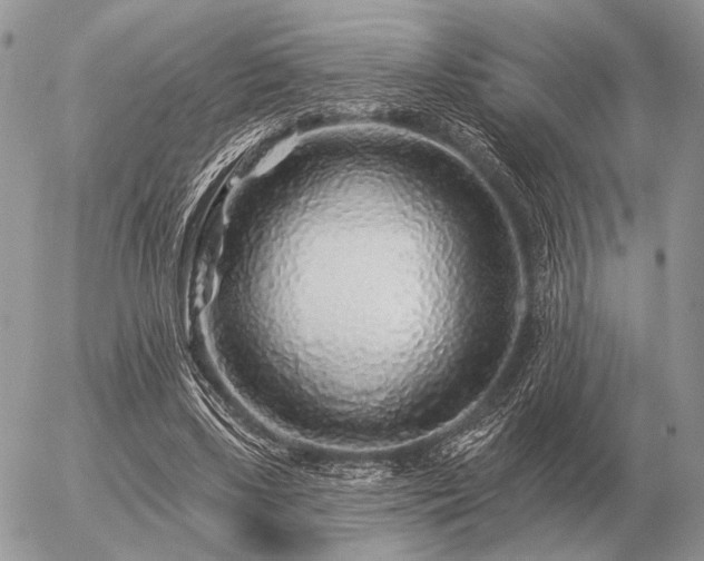 X0000056370443200508261407