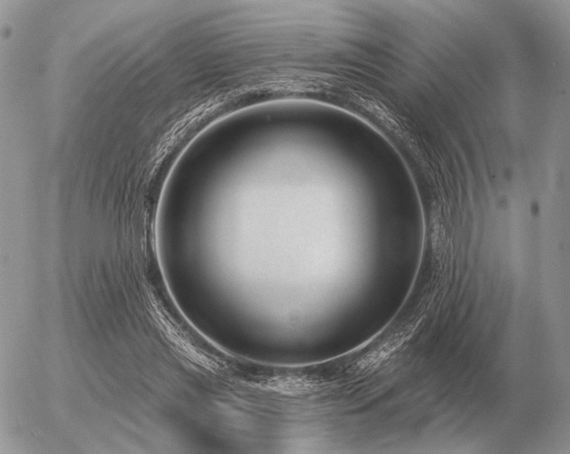 X0000056370445200508261407