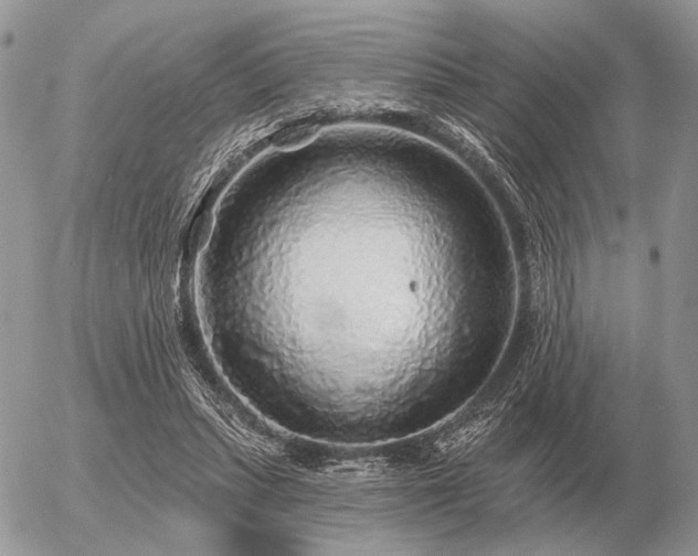 X0000056370447200508261407