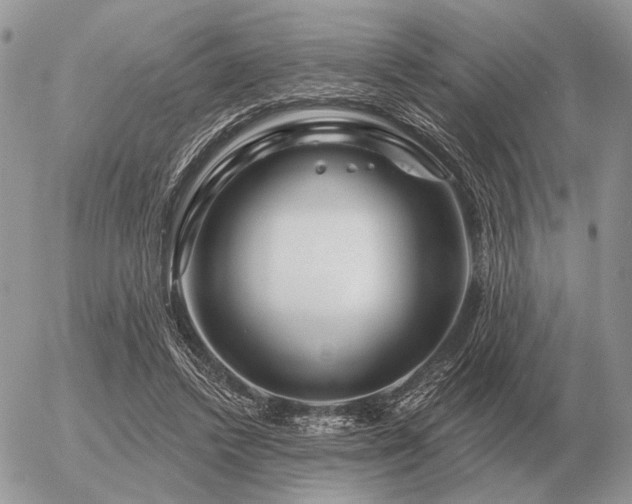 X0000056370448200508261407