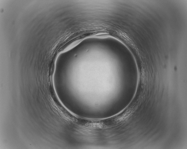 X0000056370449200508261407