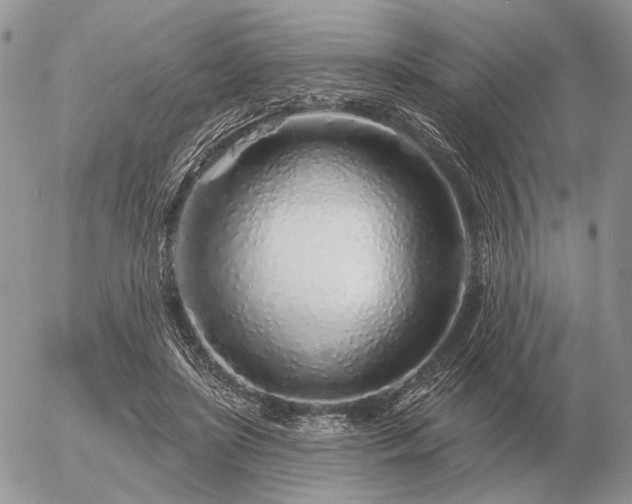 X0000056370451200508261407