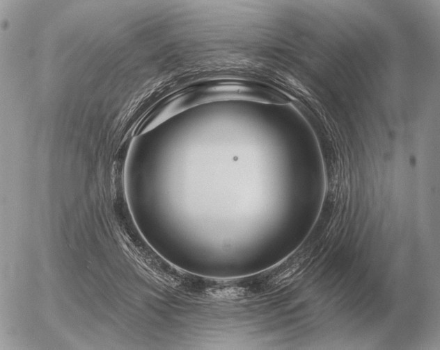 X0000056370452200508261407