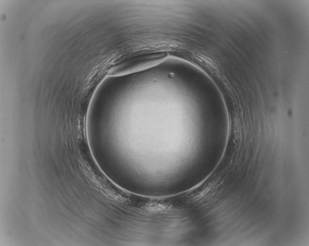 X0000056370453200508261407