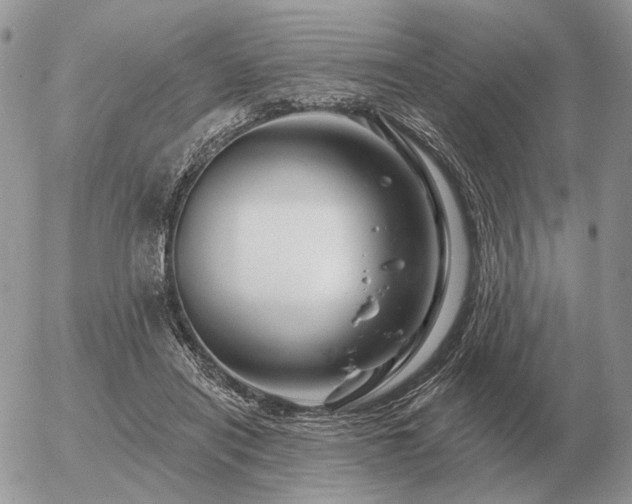 X0000056370454200508261407