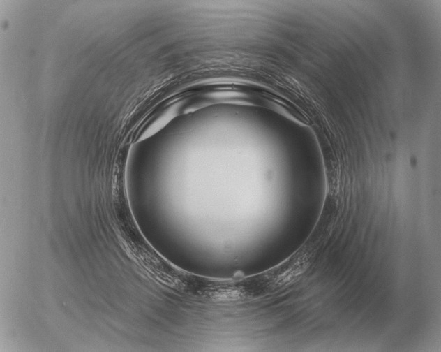 X0000056370456200508261407