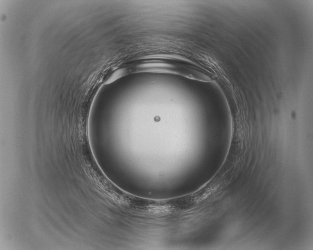 X0000056370457200508261407