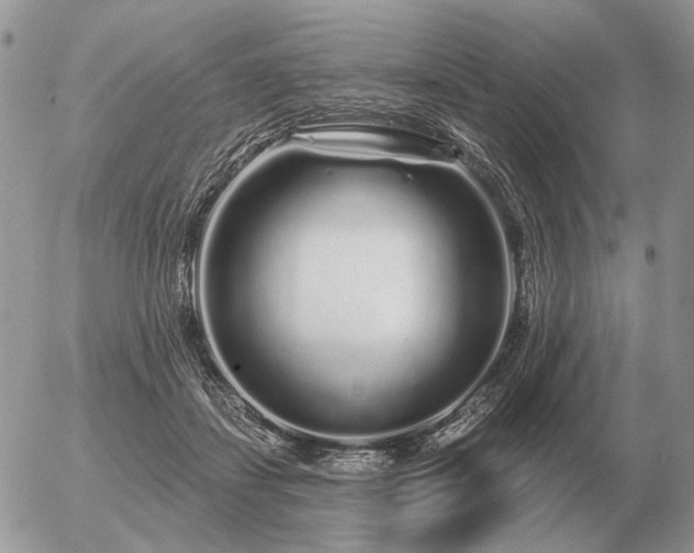 X0000056370459200508261407