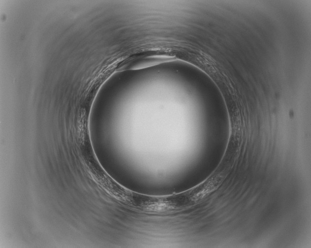 X0000056370460200508261407