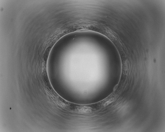 X0000056370463200508261407