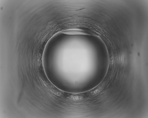 X0000056370464200508261407