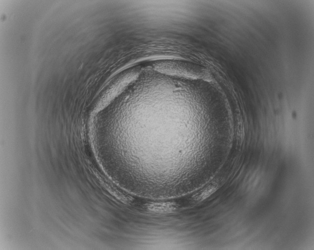 X0000056370465200508261407