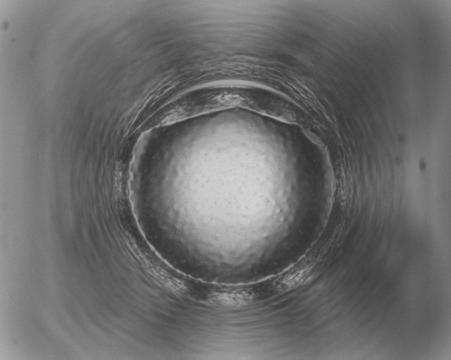 X0000056370466200508261407