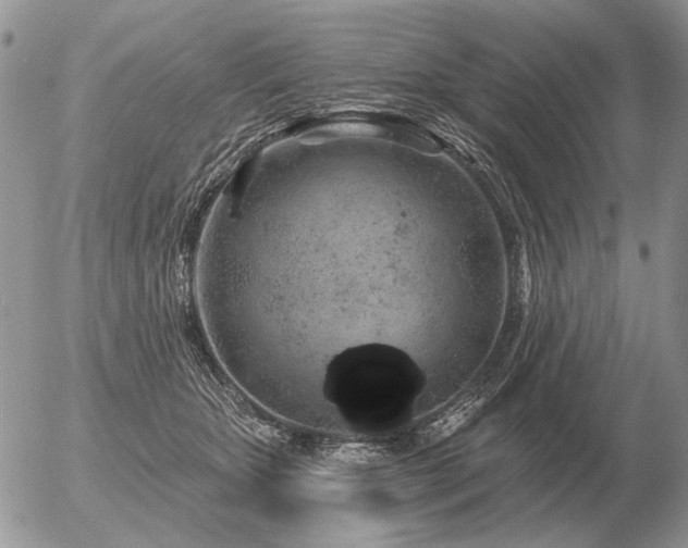 X0000056370467200508261407