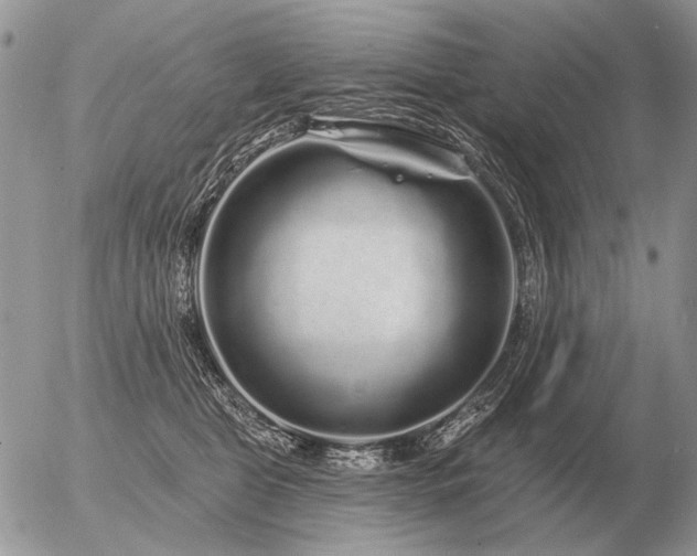 X0000056370469200508261407