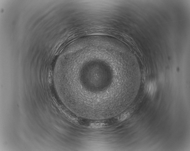 X0000056370470200508261407