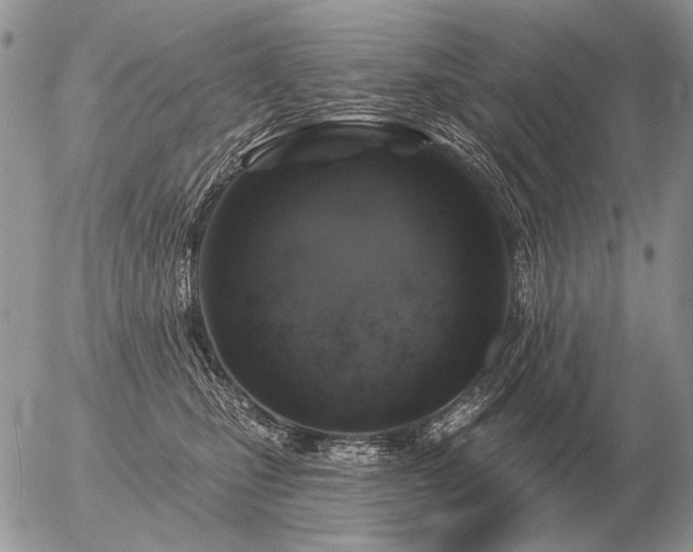 X0000056370471200508261407