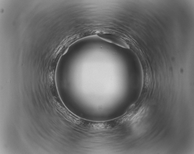 X0000056370473200508261408