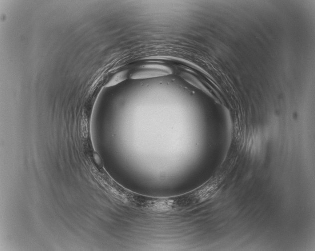 X0000056370474200508261408