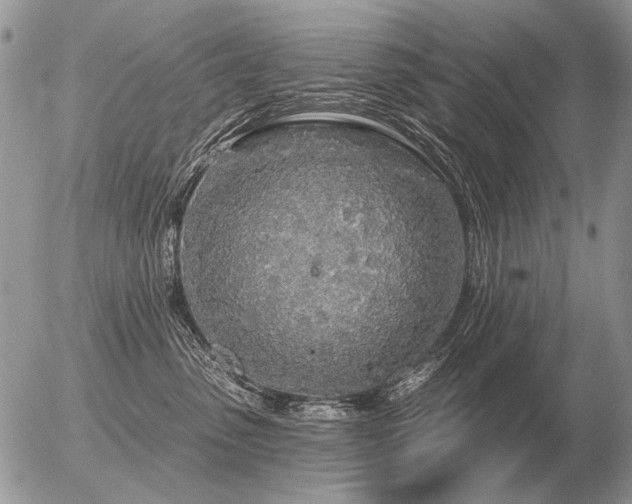 X0000056370475200508261408