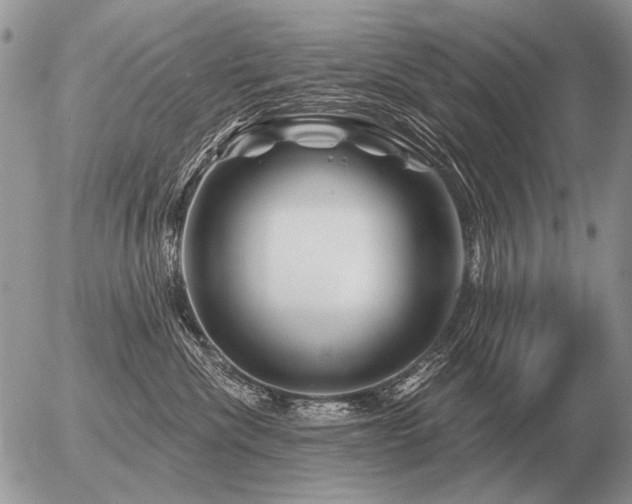 X0000056370476200508261408