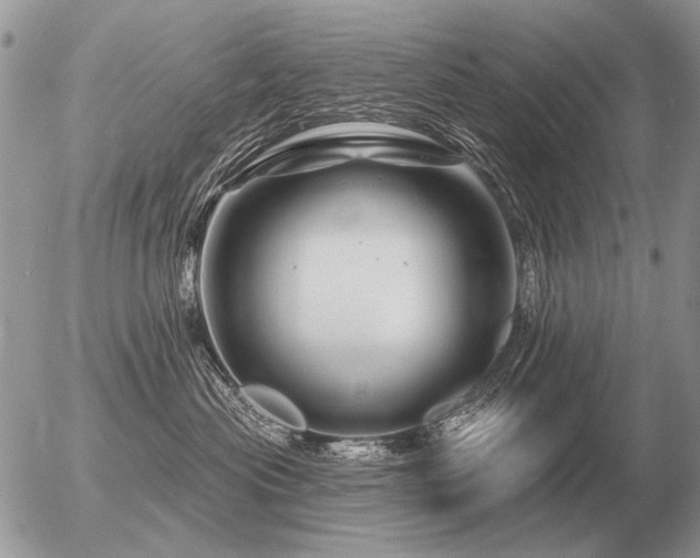 X0000056370477200508261408