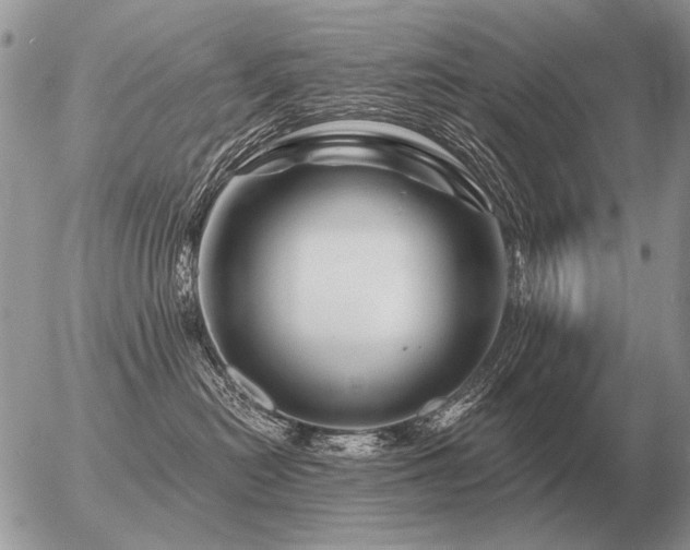 X0000056370478200508261408