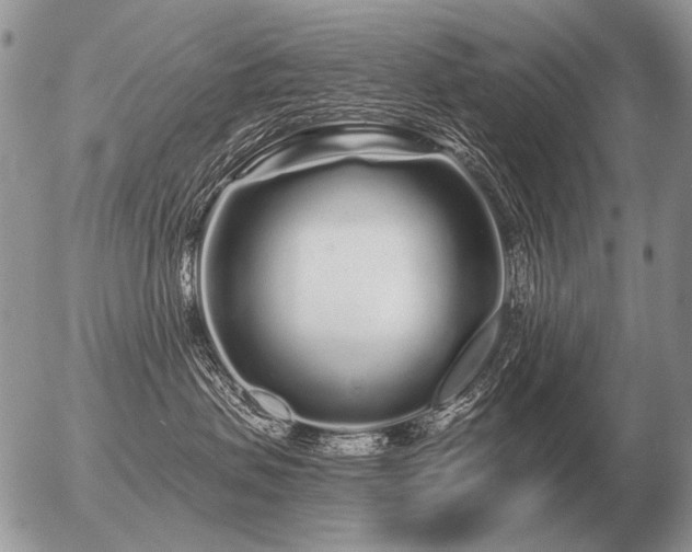 X0000056370479200508261408