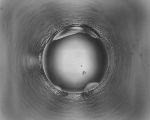 X0000056370480200508261408