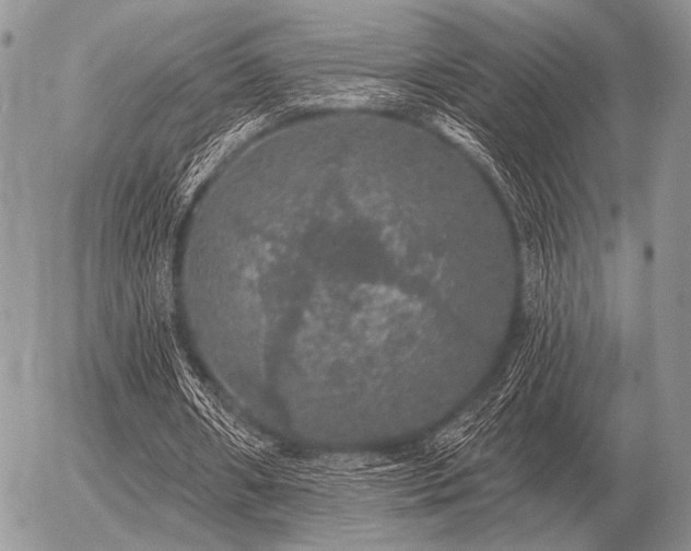 X0000056370482200508261407