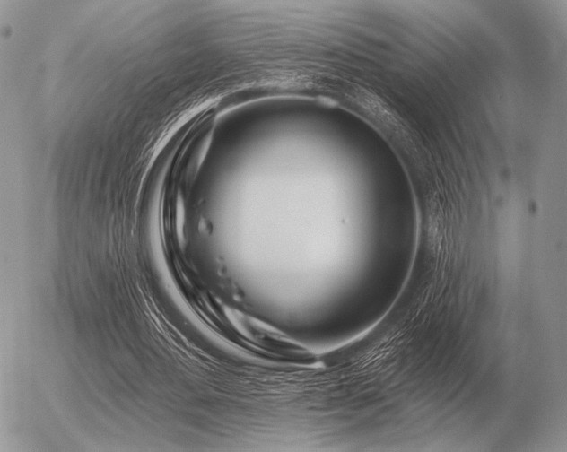 X0000056370484200508261407